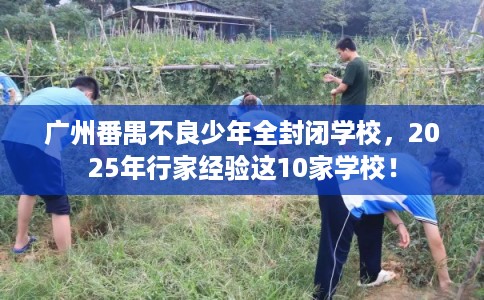 广州番禺不良少年全封闭学校，2025年行家经验这10家学校！