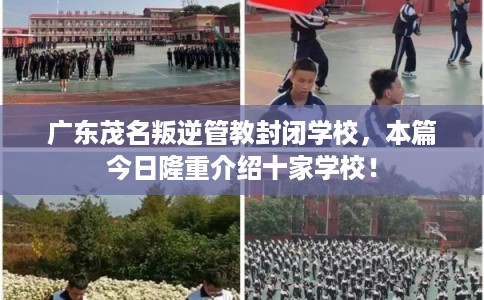 广东茂名叛逆管教封闭学校,本篇今日隆重介绍十家学校! 广东茂名叛逆管教封闭学校,本篇今日隆重介绍十家学校!