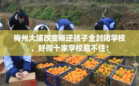 梅州大埔改变叛逆孩子全封闭学校，好得十家学校藏不住！