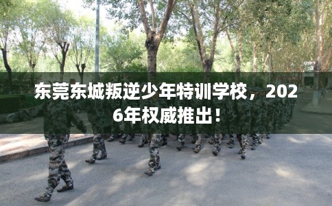 东莞东城叛逆少年特训学校，2026年权威推出！