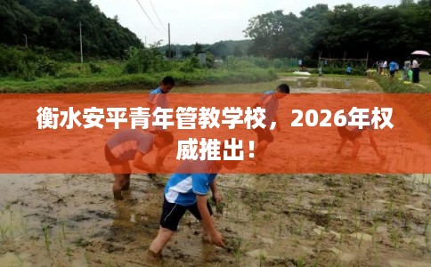 衡水安平青年管教学校，2026年权威推出！