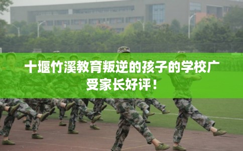 十堰竹溪教育叛逆的孩子的学校广受家长好评! 十堰竹溪教育叛逆的孩子的学校广受家长好评!