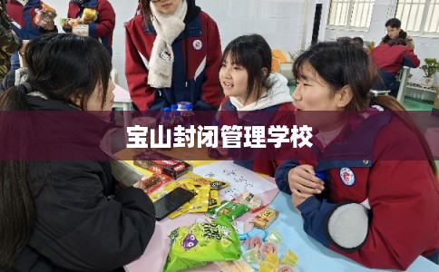 宝山封闭管理学校