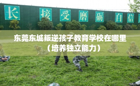 东莞东城叛逆孩子教育学校在哪里(培养独立能力) 东莞东城叛逆孩子教育学校在哪里(培养独立能力)