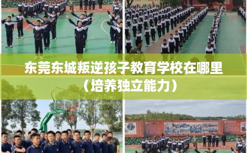 东莞东城叛逆孩子教育学校在哪里(培养独立能力) 东莞东城叛逆孩子教育学校在哪里(培养独立能力)