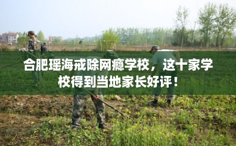 合肥瑶海戒除网瘾学校,这十家学校得到当地家长好评! 合肥瑶海戒除网瘾学校,这十家学校得到当地家长好评!