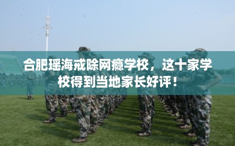 合肥瑶海戒除网瘾学校，这十家学校得到当地家长好评！