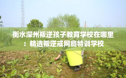 衡水深州叛逆孩子教育学校在哪里：精选叛逆戒网瘾特训学校