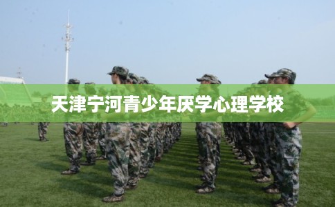 天津宁河青少年厌学心理学校