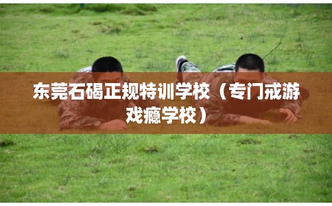 东莞石碣正规特训学校(专门戒游戏瘾学校) 东莞石碣正规特训学校(专门戒游戏瘾学校)