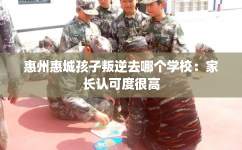 惠州惠城孩子叛逆去哪个学校：家长认可度很高