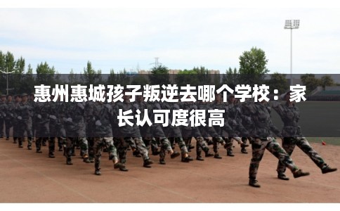 惠州惠城孩子叛逆去哪个学校：家长认可度很高