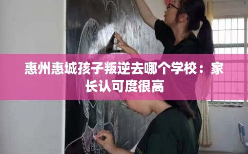 惠州惠城孩子叛逆去哪个学校：家长认可度很高