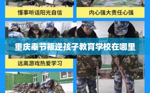 重庆奉节叛逆孩子教育学校在哪里 重庆奉节叛逆孩子教育学校在哪里