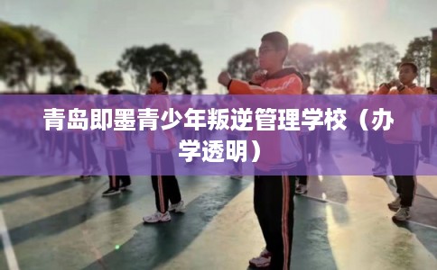 青岛即墨青少年叛逆管理学校（办学透明）