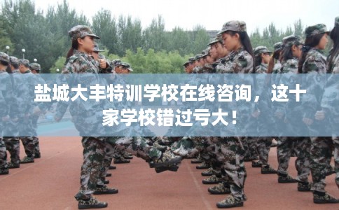 盐城大丰特训学校在线咨询，这十家学校错过亏大！