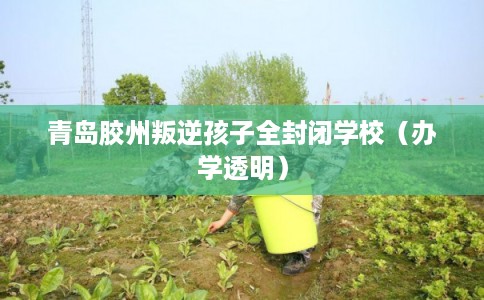 青岛胶州叛逆孩子全封闭学校（办学透明）