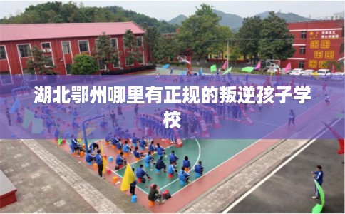 湖北鄂州哪里有正规的叛逆孩子学校