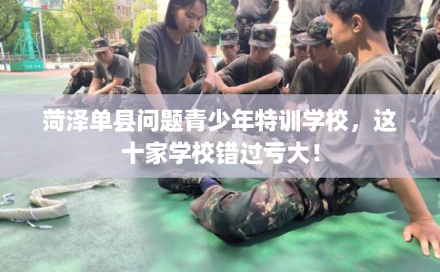 菏泽单县问题青少年特训学校，这十家学校错过亏大！