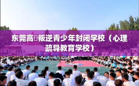 东莞高埗叛逆青少年封闭学校（心理疏导教育学校）
