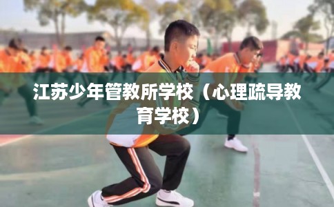江苏少年管教所学校（心理疏导教育学校）