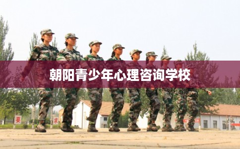 朝阳青少年心理咨询学校