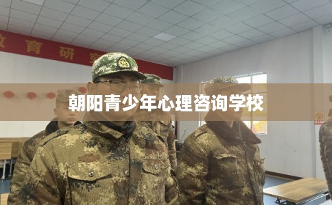 朝阳青少年心理咨询学校