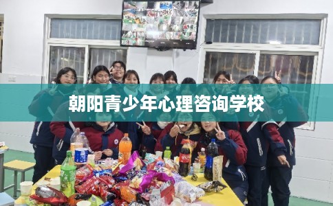 朝阳青少年心理咨询学校