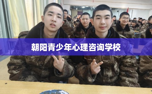 朝阳青少年心理咨询学校
