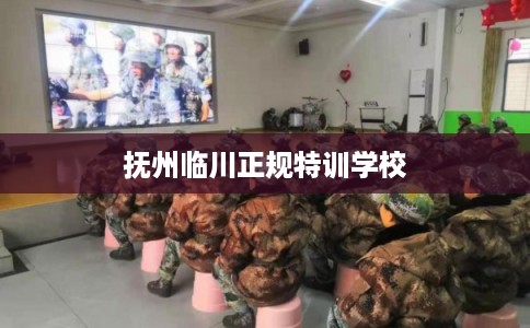 抚州临川正规特训学校