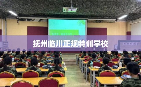 抚州临川正规特训学校