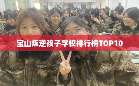 宝山叛逆孩子学校排行榜TOP10 宝山叛逆孩子学校排行榜TOP10