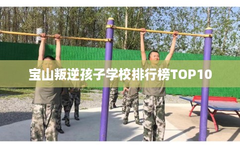 宝山叛逆孩子学校排行榜TOP10 宝山叛逆孩子学校排行榜TOP10
