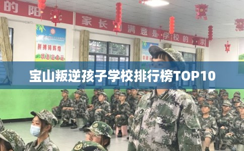 宝山叛逆孩子学校排行榜TOP10