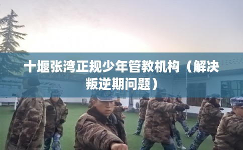 十堰张湾正规少年管教机构(解决叛逆期问题) 十堰张湾正规少年管教机构(解决叛逆期问题)
