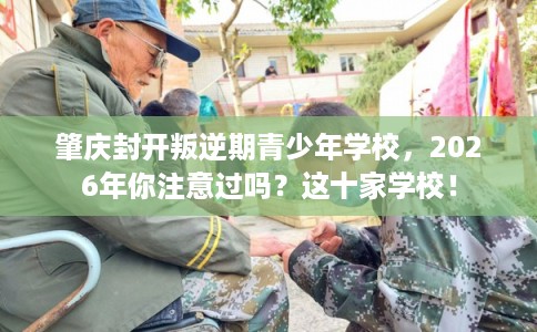 肇庆封开叛逆期青少年学校，2026年你注意过吗？这十家学校！