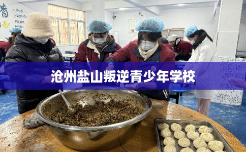 沧州盐山叛逆青少年学校 沧州盐山叛逆青少年学校