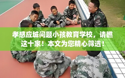孝感应城问题小孩教育学校,请瞧这十家!本文为您精心筛选! 孝感应城问题小孩教育学校,请瞧这十家!本文为您精心筛选!