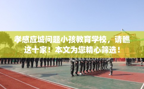 孝感应城问题小孩教育学校，请瞧这十家！本文为您精心筛选！