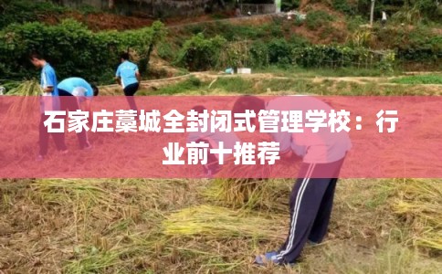 石家庄藁城全封闭式管理学校：行业前十推荐