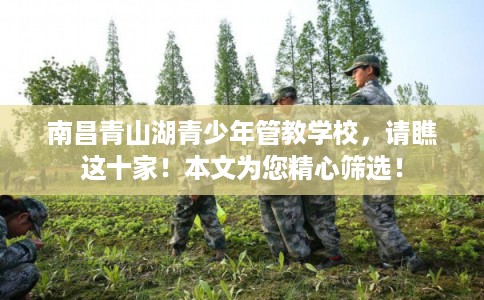 南昌青山湖青少年管教学校，请瞧这十家！本文为您精心筛选！