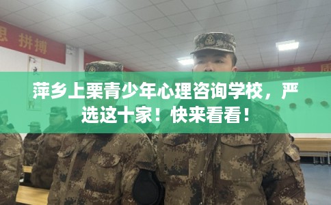 萍乡上栗青少年心理咨询学校，严选这十家！快来看看！