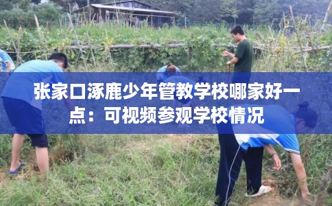 张家口涿鹿少年管教学校哪家好一点：可视频参观学校情况