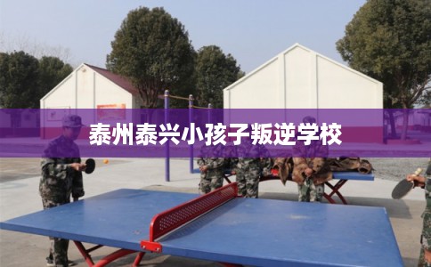 泰州泰兴小孩子叛逆学校