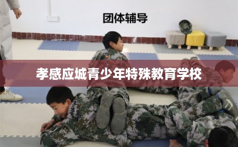 孝感应城青少年特殊教育学校