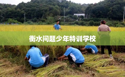 衡水问题少年特训学校 衡水问题少年特训学校