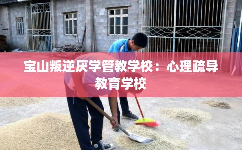 宝山叛逆厌学管教学校：心理疏导教育学校