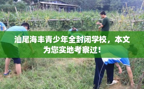 汕尾海丰青少年全封闭学校，本文为您实地考察过！