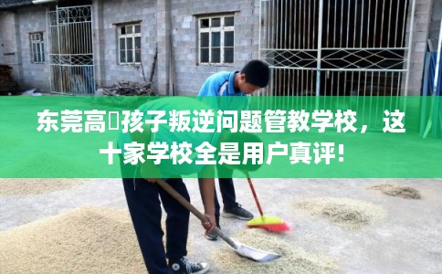 东莞高埗孩子叛逆问题管教学校，这十家学校全是用户真评!