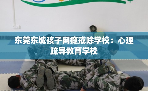 东莞东城孩子网瘾戒除学校：心理疏导教育学校